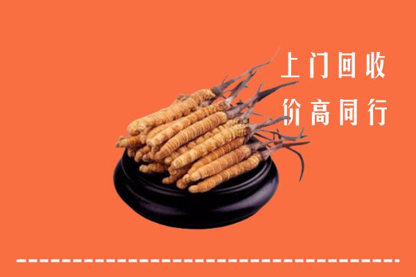 高价求购：高唐县回收散虫草