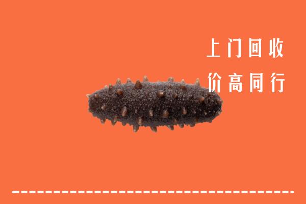 高价求购：高唐县回收海参