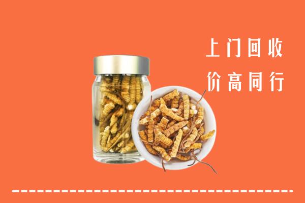 高唐县回收冬虫夏草